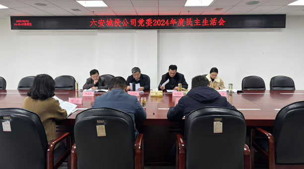 市城投公司党委召开2024年度民主生活会